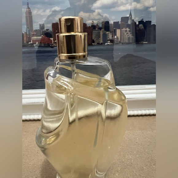 Donna Karan Cashmere Mist eau de parfum 3.4 FL OZ 100 ml - Picture 3 of 3